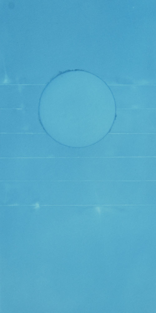 tanstblue-9